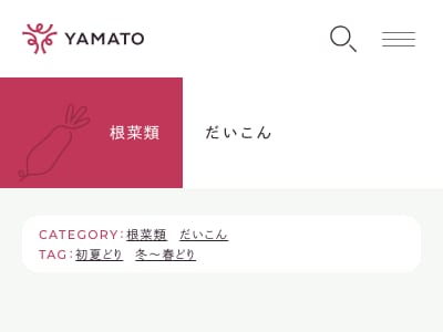 やよい美人