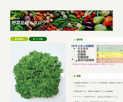 グリーンジャケットの画像