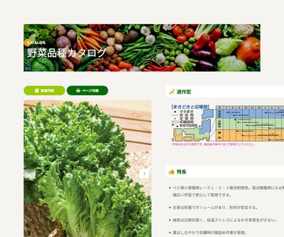 グリーンブーケの画像