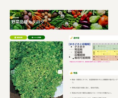 ダンシングの画像