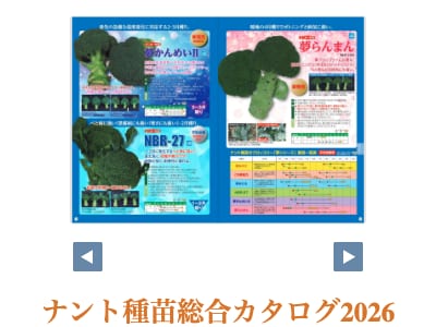 夢らんまん