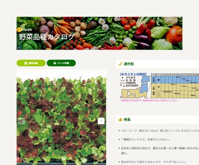 ガーデンベビーの画像