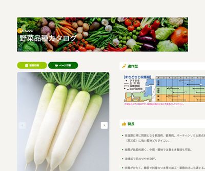 夏あおいの画像