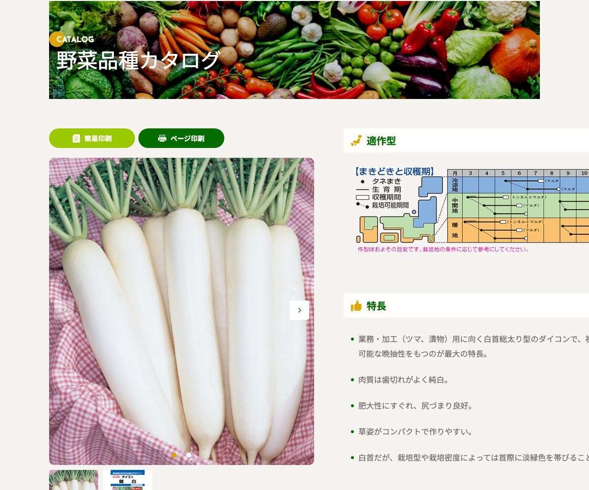 健白