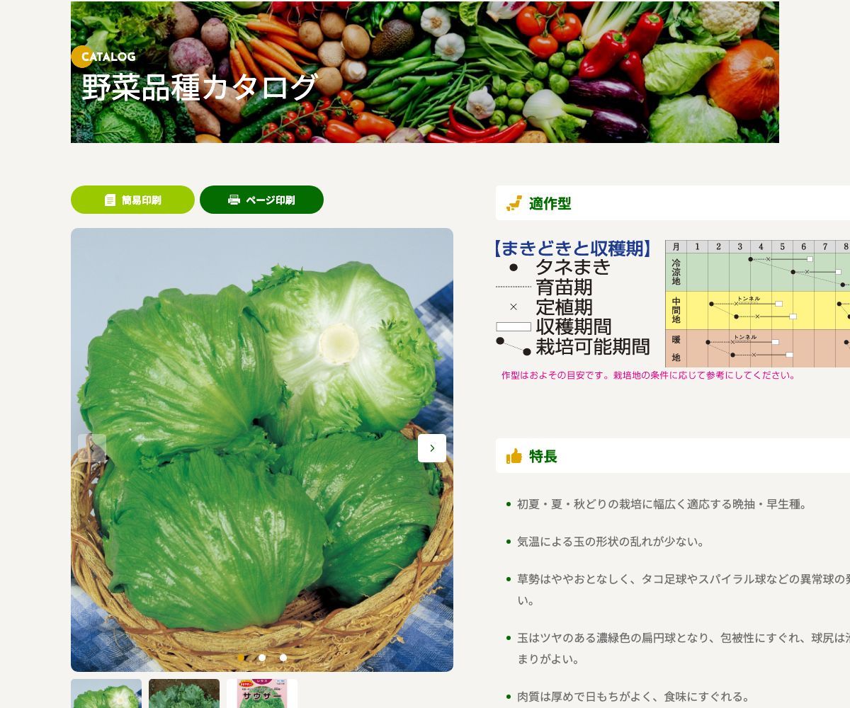 サウザー