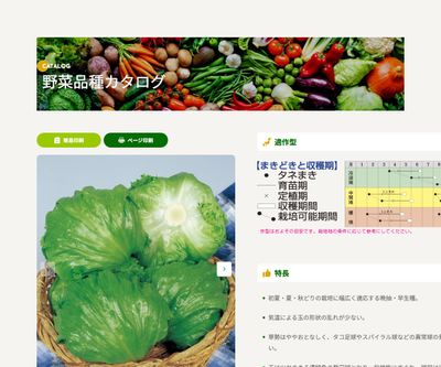 サウザーの画像