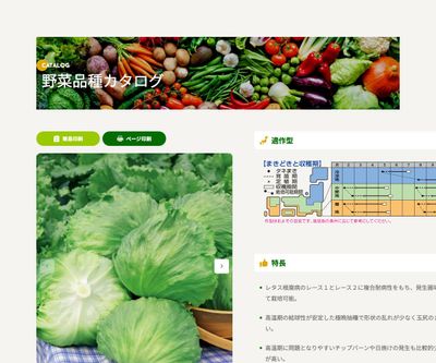 アリストの画像
