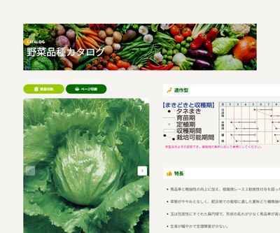 サーマルスターの画像