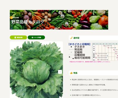 シーカーの画像