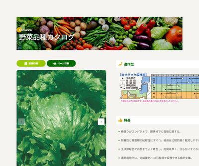 極早生シスコの画像