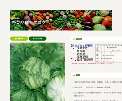 オアシスの画像