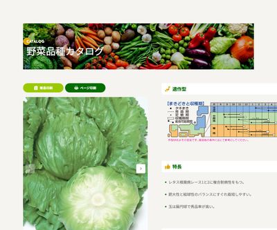 パスポートの画像