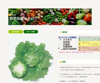 スターレイの画像