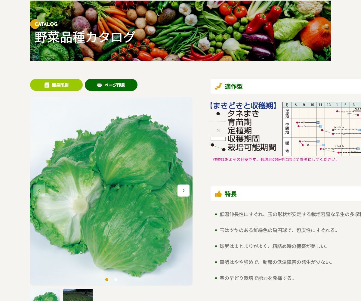 ウィザード