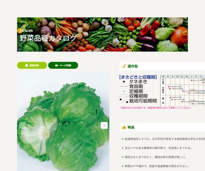 ウィザードの画像