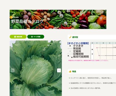 シスコビバの画像