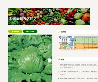 レガシーの画像