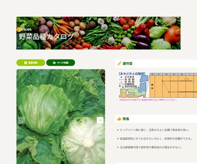 ビックガイの画像