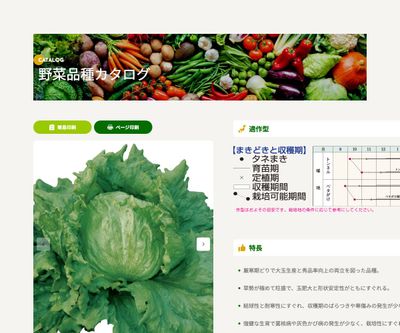 フルバックの画像