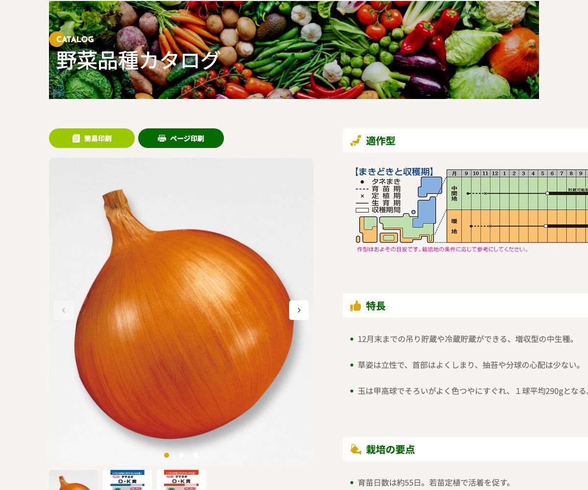 O・K黄