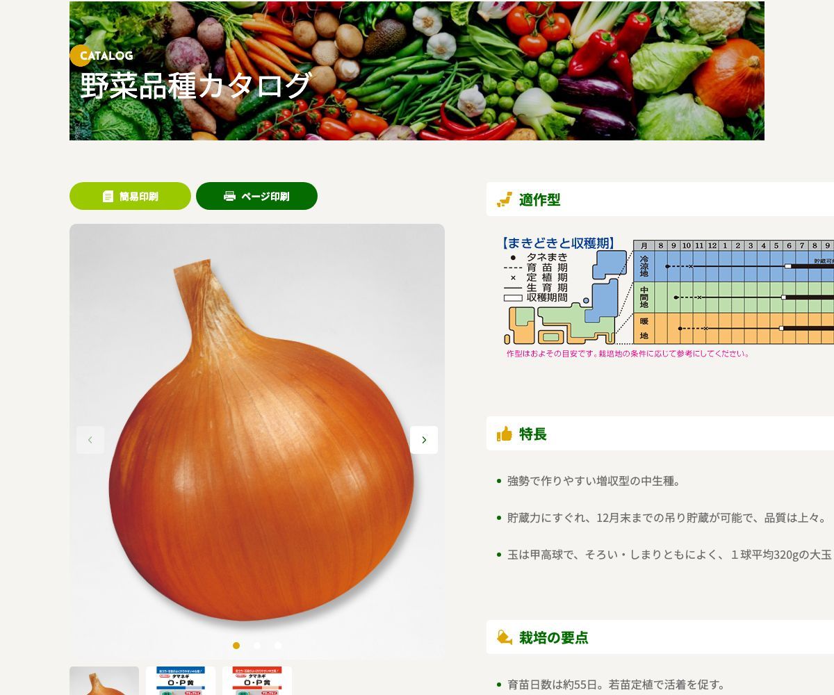 O・P黄