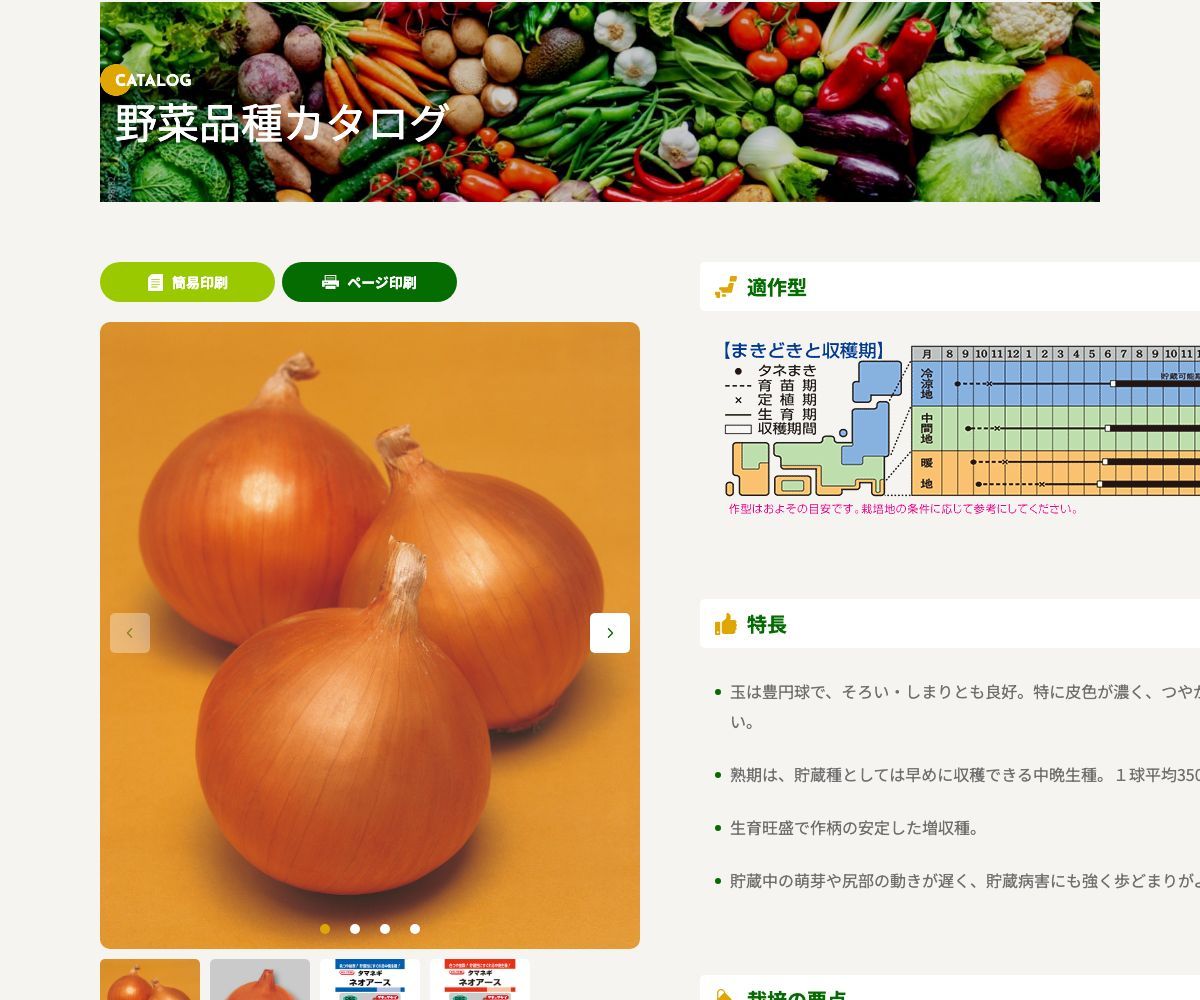 ネオアース