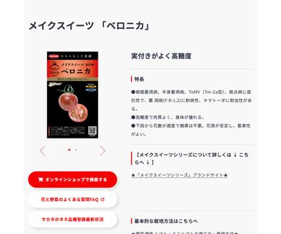 ベロニカの画像