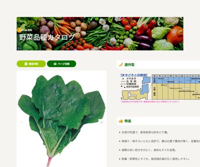 強力オーライの画像