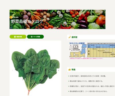 オーライの画像