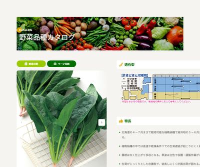 晩抽サマージェットの画像