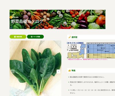 晩抽サマーヒットの画像