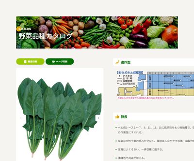 晩抽サマースカイの画像