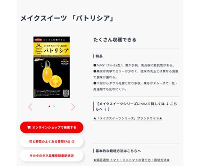 パトリシアの画像