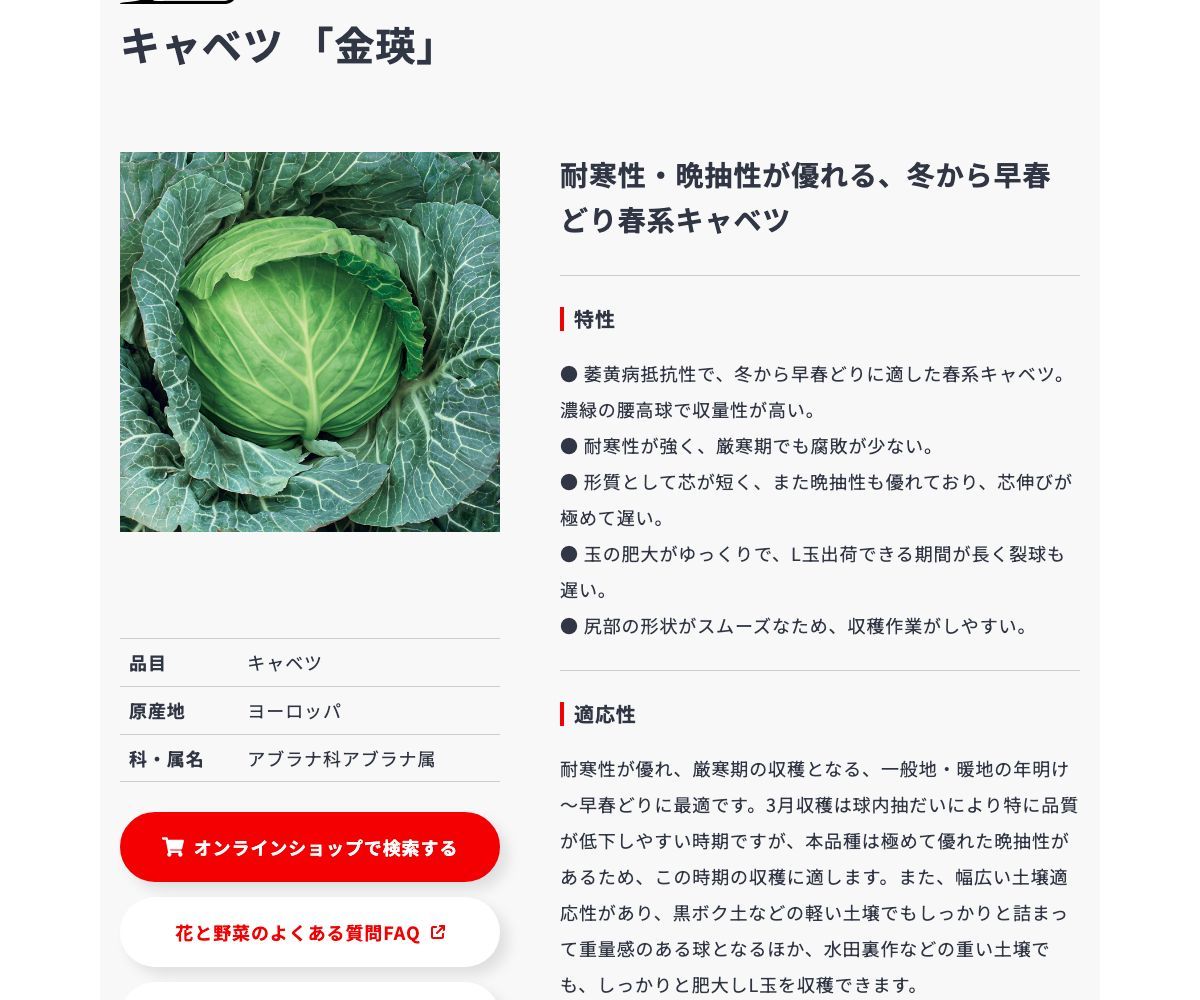 金瑛