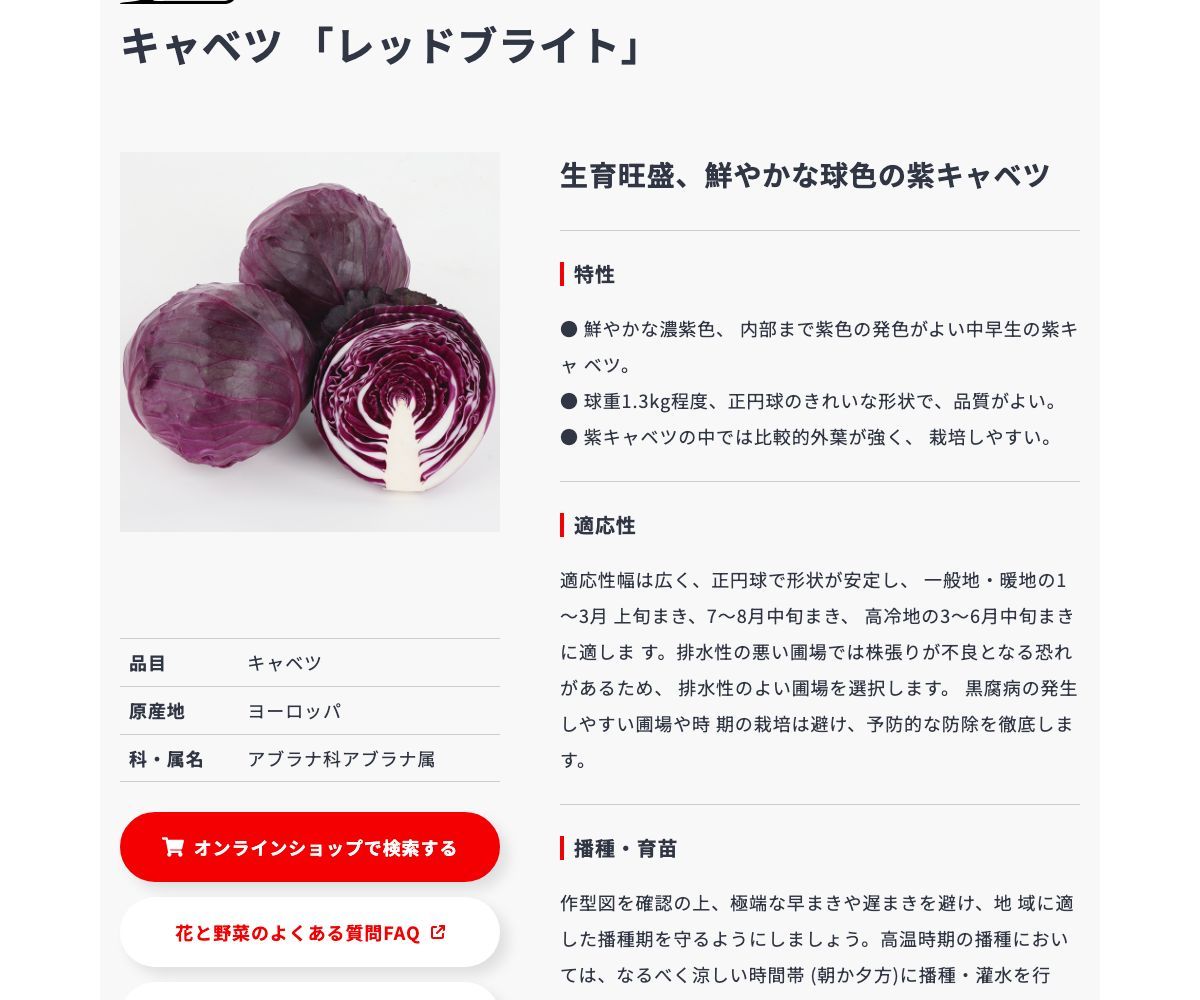 レッドブライト