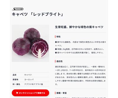 レッドブライトの画像