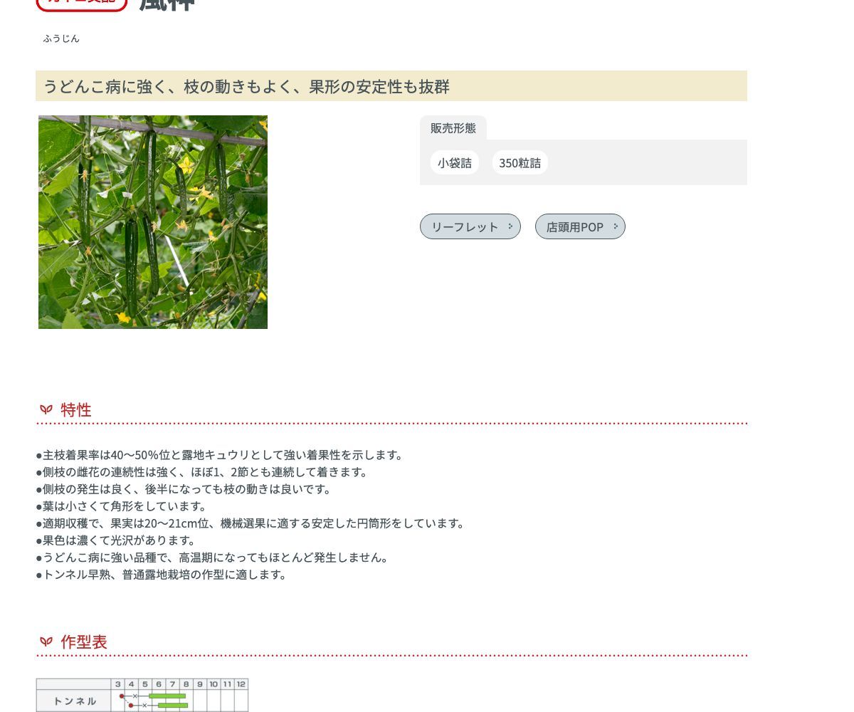 風神