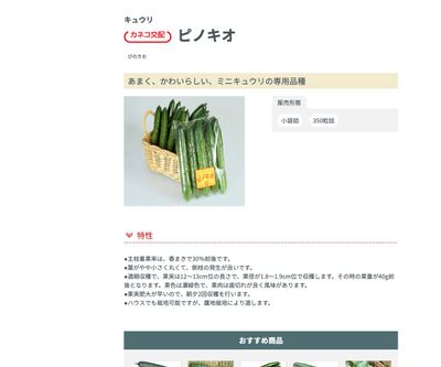 ピノキオの画像