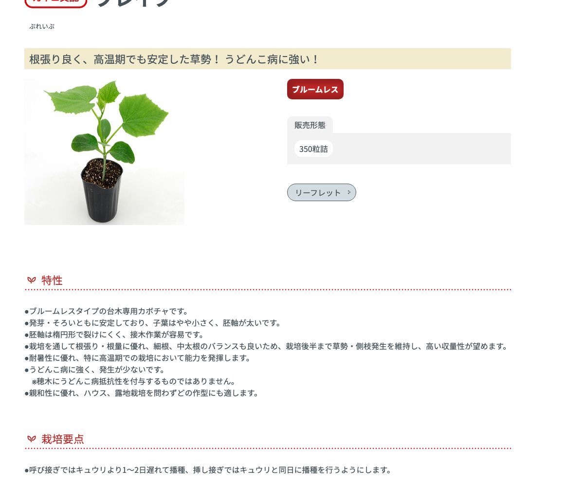 ブレイブ