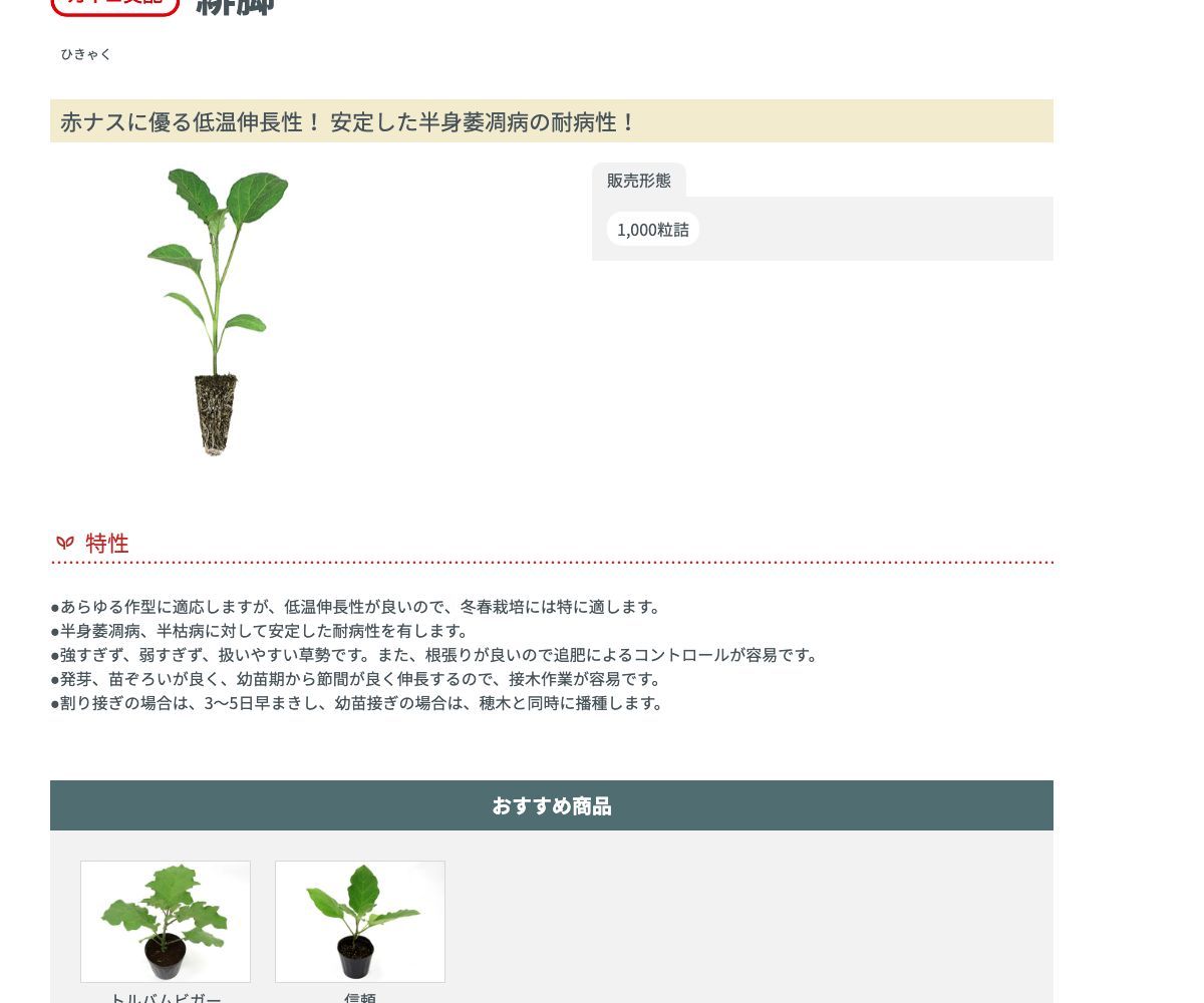 緋脚