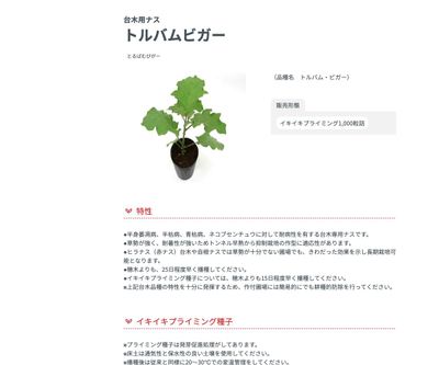 トルバムビガー