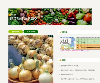 スパートの画像