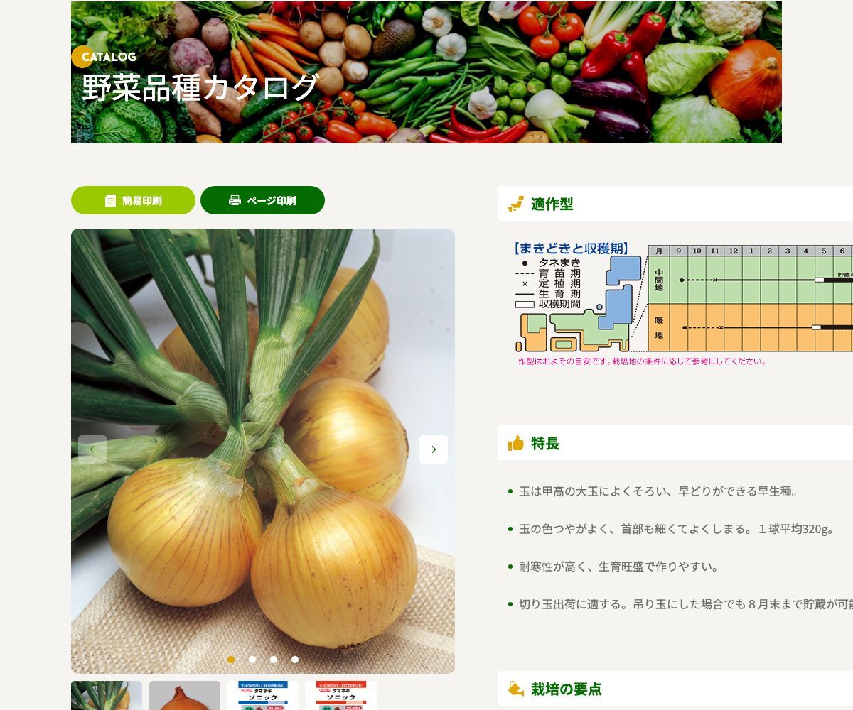 ソニック