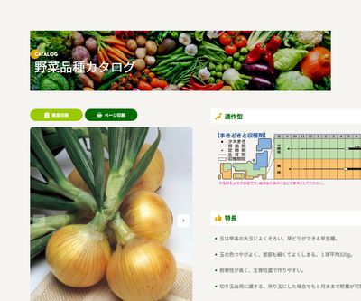 ソニックの画像