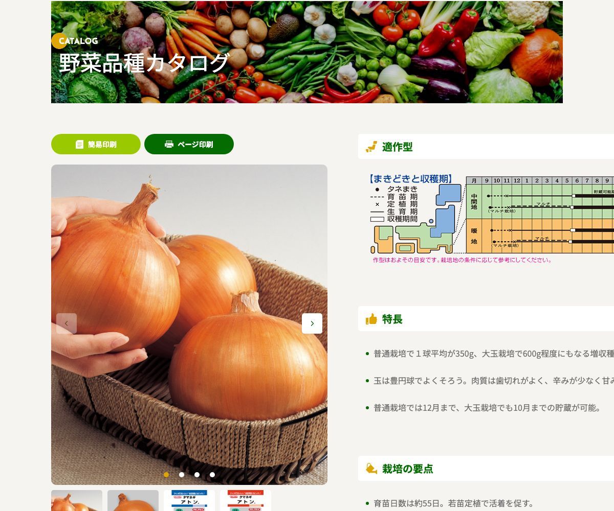アトン