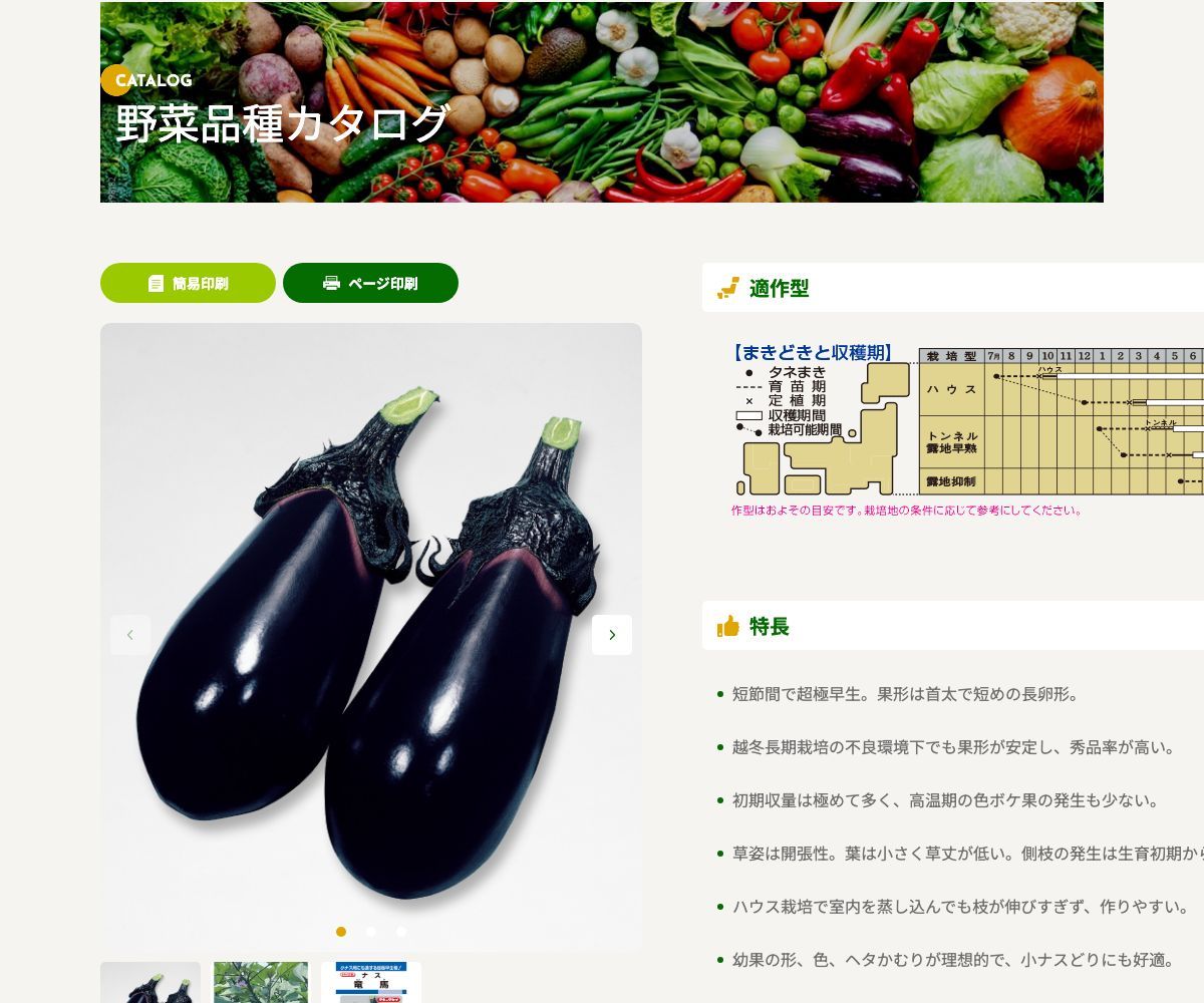 竜馬