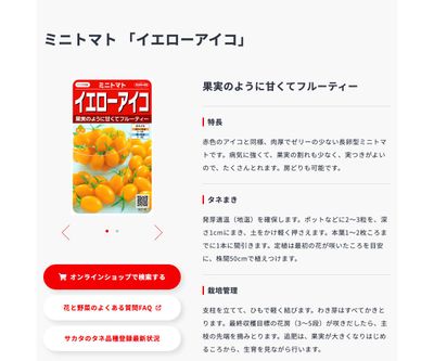 イエローアイコの画像