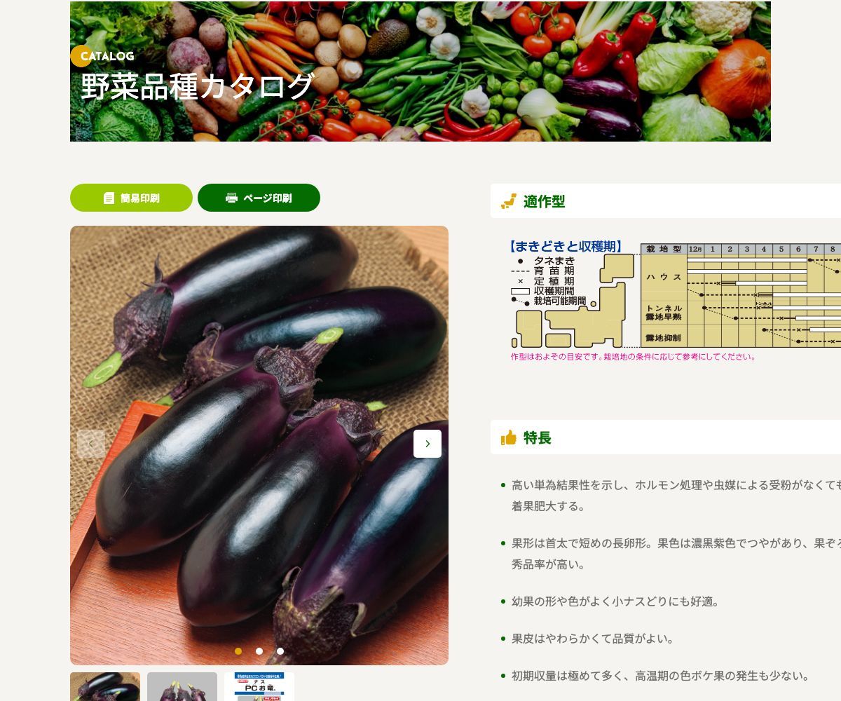 PCお竜