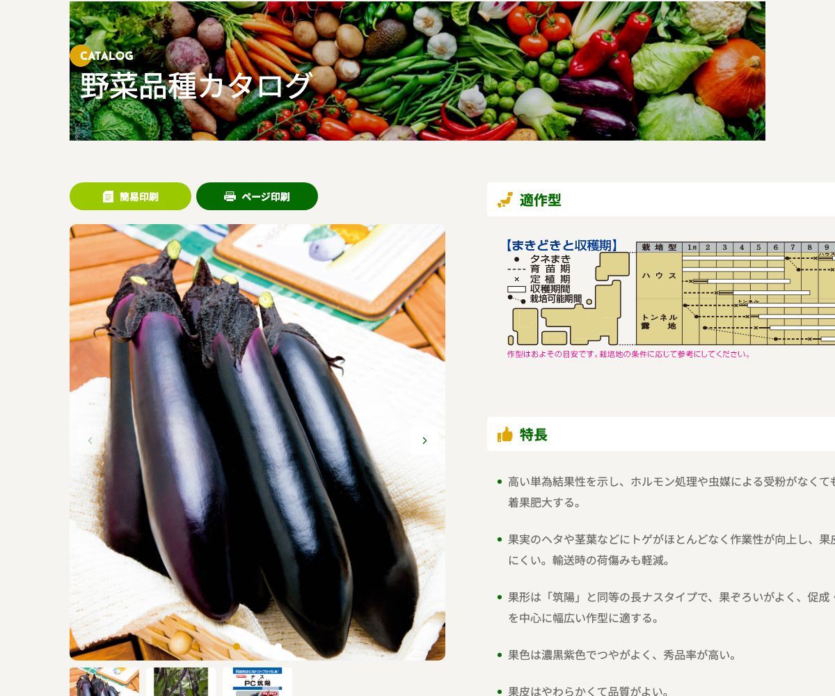 PC筑陽