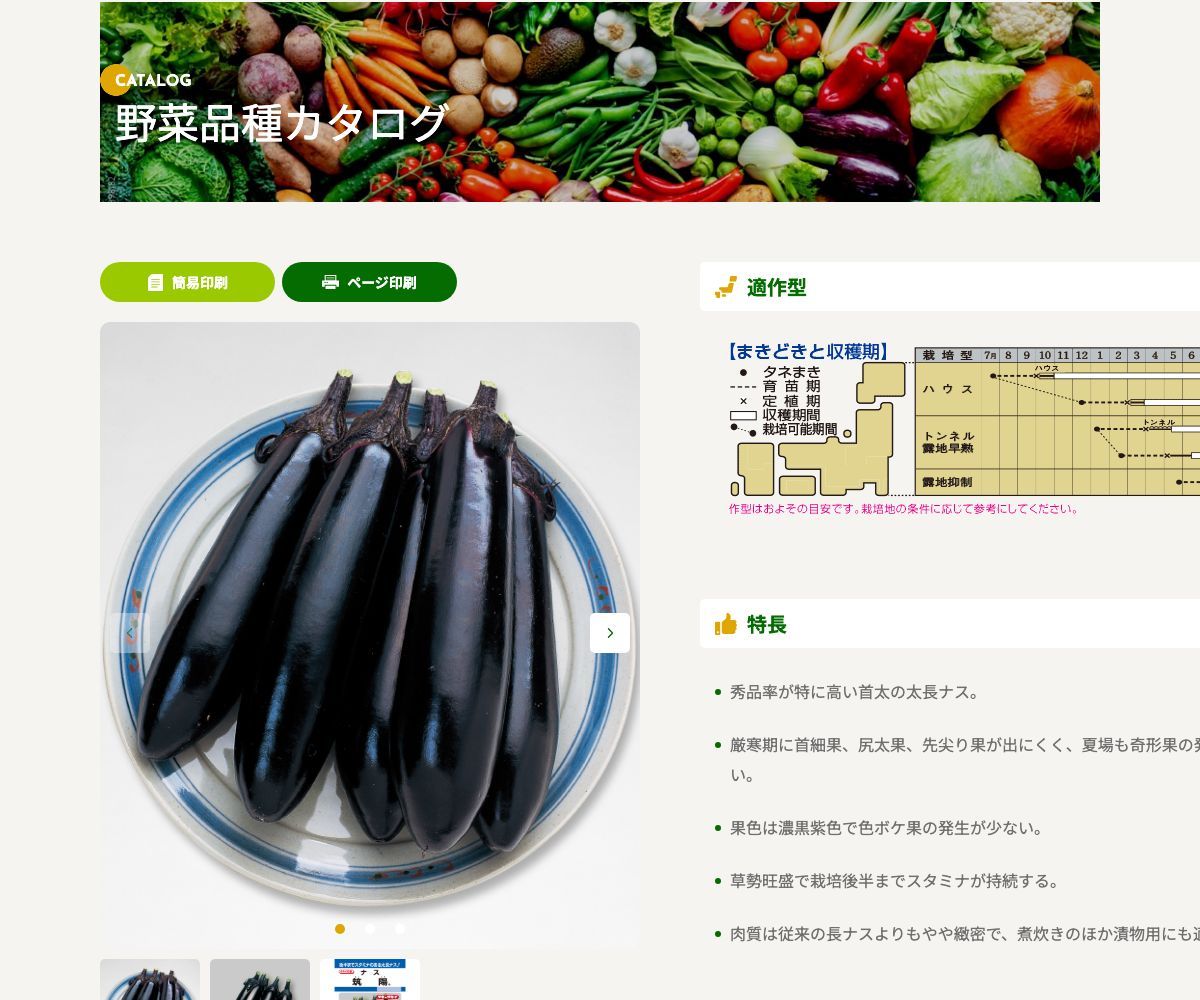筑陽